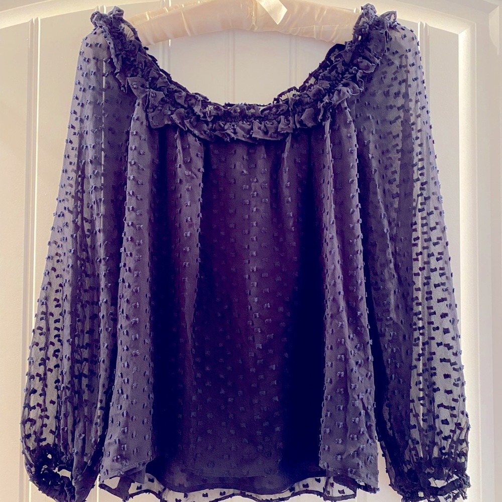 J.Crew Navy Sheer Long Sleeve Dot Blouse